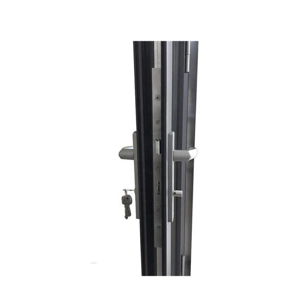 Custom Aluminum & Glass Hinged Door – Entry & Interior Options - Image 2